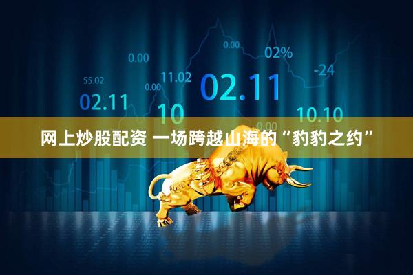 网上炒股配资 一场跨越山海的“豹豹之约”