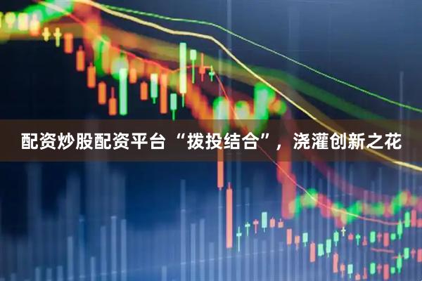 配资炒股配资平台 “拨投结合”，浇灌创新之花